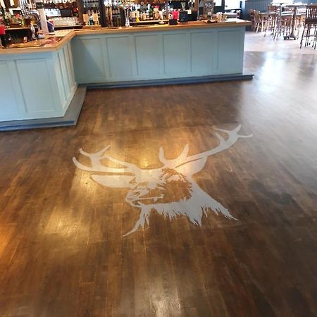 The Roebuck Inn Саутхамптън Екстериор снимка